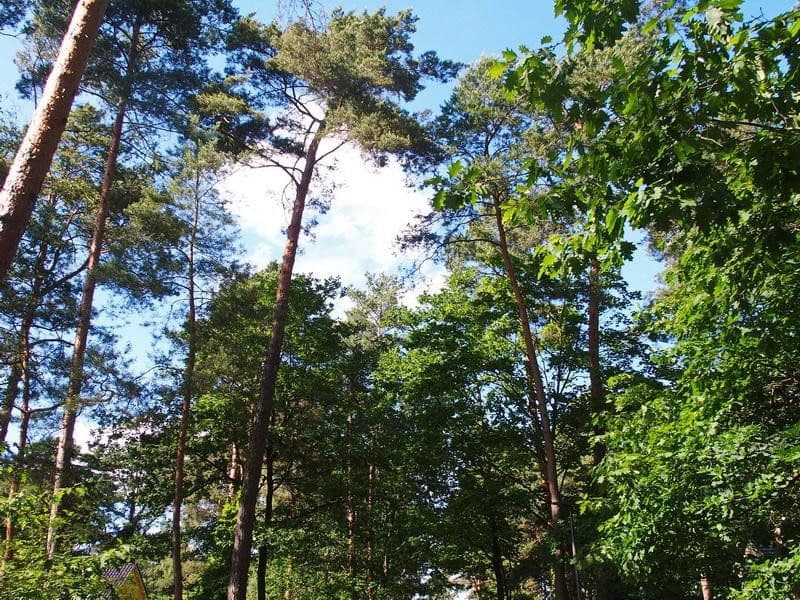 Prodej pozemku 1.073 m², Mühlenbecker Land, Braniborsko Prodej pozemku 1.073 m², Mühlenbecker Land, Braniborsko