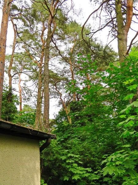 Prodej pozemku 1.073 m², Mühlenbecker Land, Braniborsko Prodej pozemku 1.073 m², Mühlenbecker Land, Braniborsko