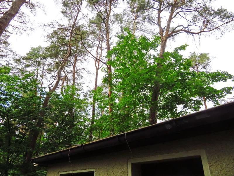 Prodej pozemku 1.073 m², Mühlenbecker Land, Braniborsko Prodej pozemku 1.073 m², Mühlenbecker Land, Braniborsko