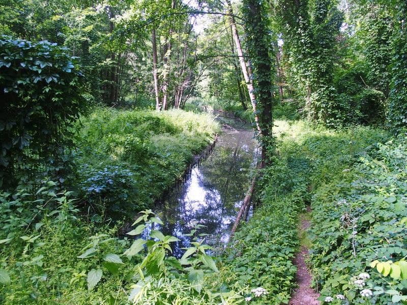 Prodej pozemku 1.073 m², Mühlenbecker Land, Braniborsko Prodej pozemku 1.073 m², Mühlenbecker Land, Braniborsko