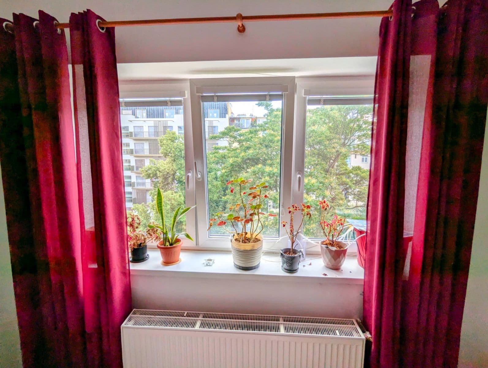 Prodej bytu 1+kk 45 m², Jičínská, Praha, Praha Prodej bytu 1+kk 45 m², Jičínská, Praha, Praha