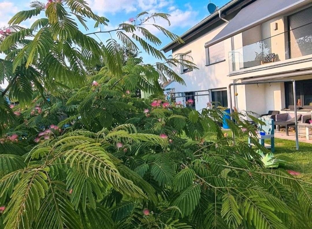 Prodej domu 200 m², pozemek 1.015 m², Freudenberg, Bádensko-Württembersko Prodej domu 200 m², pozemek 1.015 m², Freudenberg, Bádensko-Württembersko