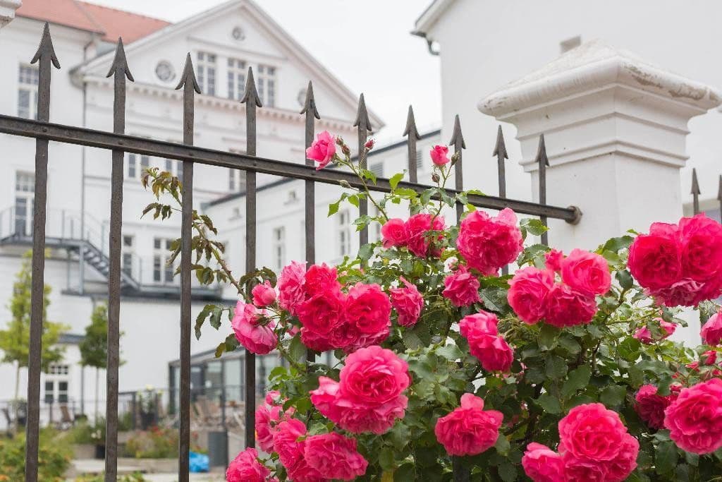 Pronájem kanceláře 250 m², Putbus, Mecklenburg-Vorpommern Pronájem kanceláře 250 m², Putbus, Mecklenburg-Vorpommern