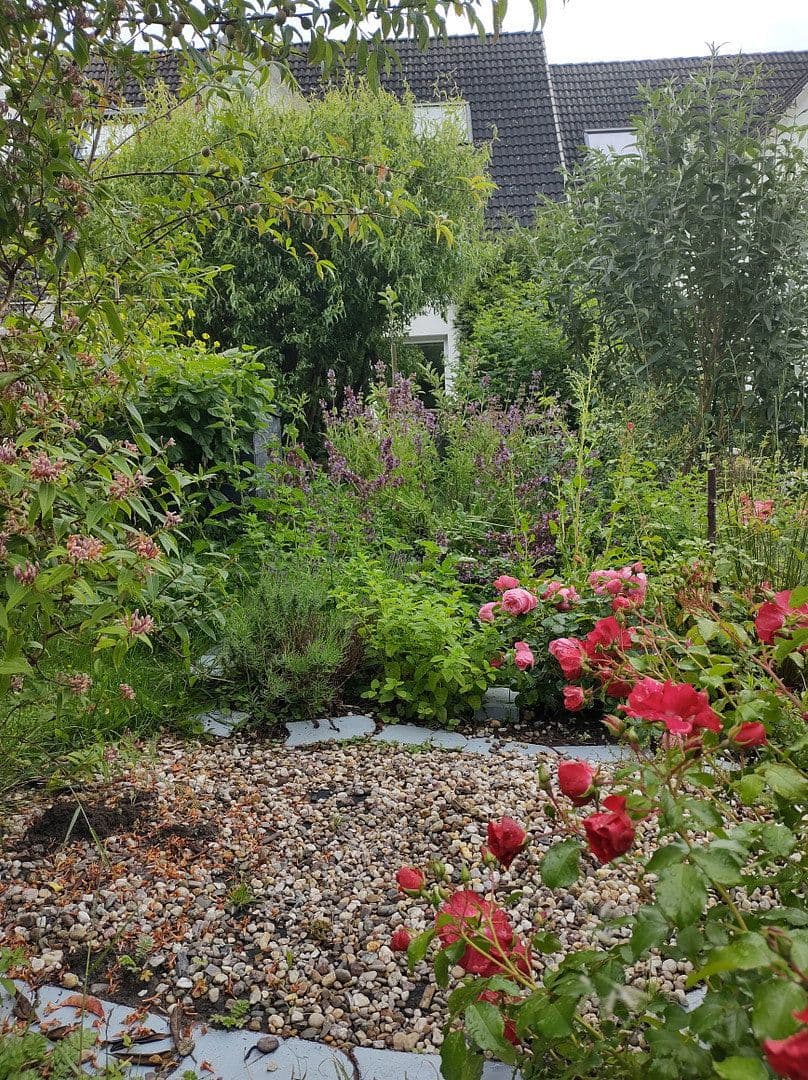 Prodej domu 125 m², pozemek 243 m², Hagen im Bremischen, Dolní Sasko Prodej domu 125 m², pozemek 243 m², Hagen im Bremischen, Dolní Sasko