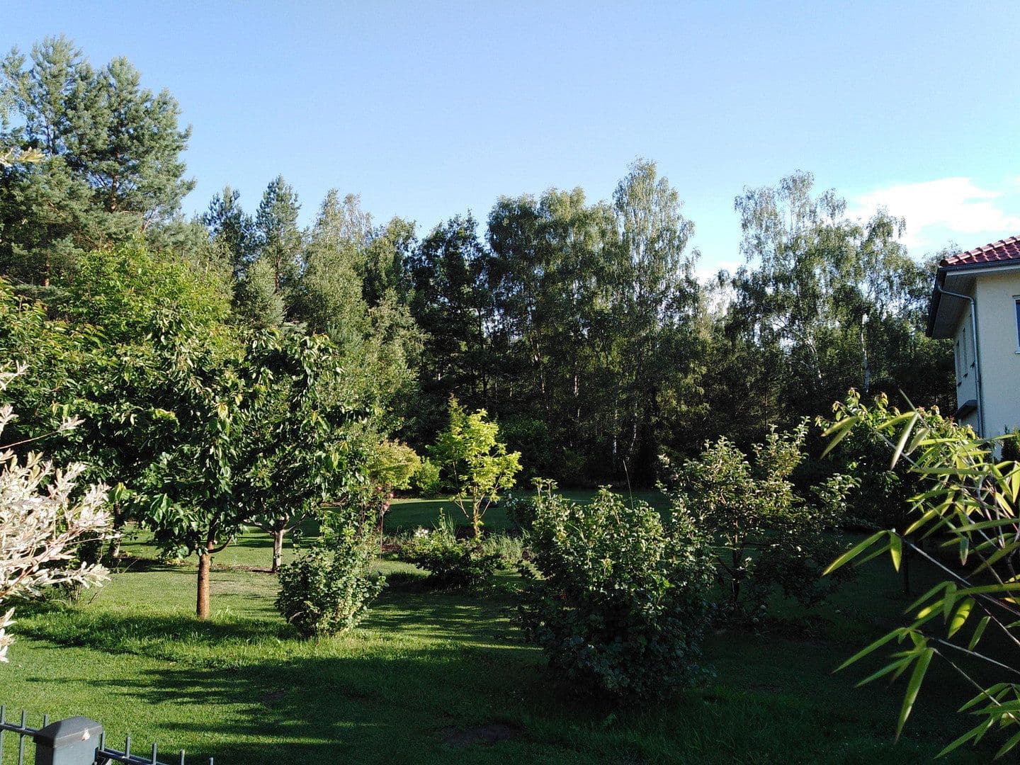 Pronájem domu 130 m², pozemek 700 m², Potsdam, Braniborsko Pronájem domu 130 m², pozemek 700 m², Potsdam, Braniborsko