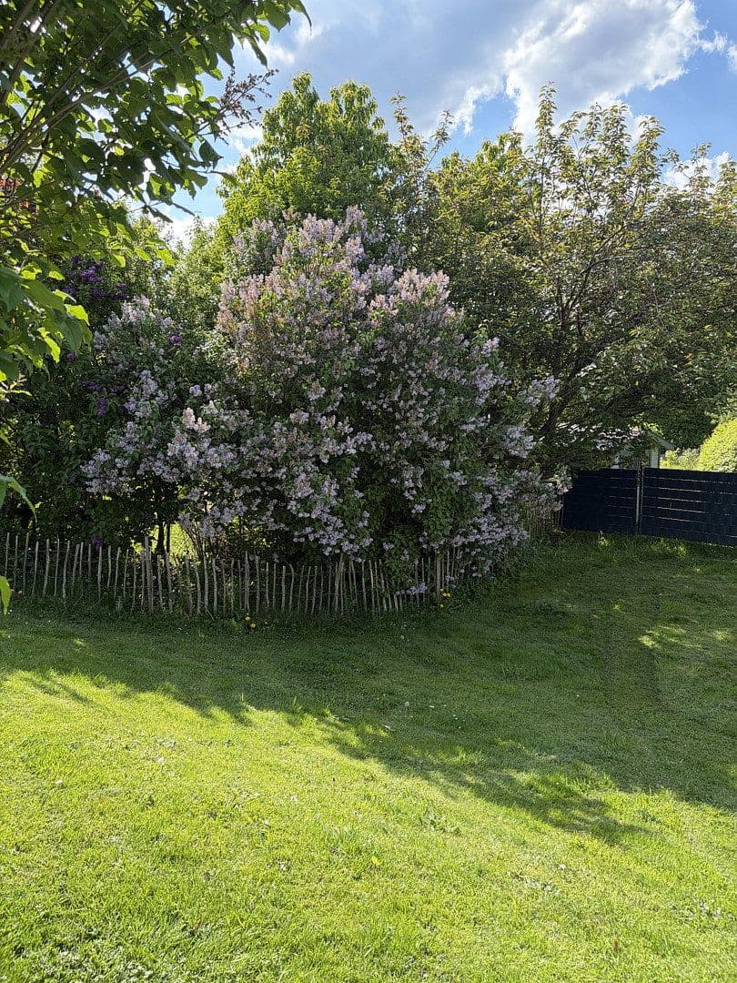 Prodej domu 170 m², pozemek 1.599 m², Wied, Porýní-Falc Prodej domu 170 m², pozemek 1.599 m², Wied, Porýní-Falc