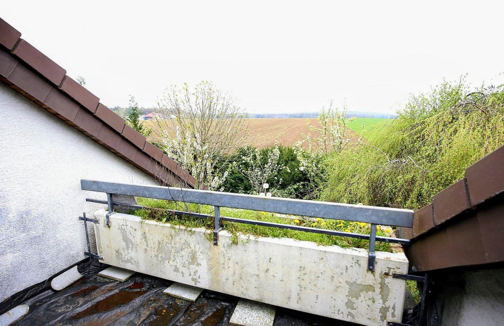 Prodej domu 235 m², pozemek 577 m², Reutlingen, Bádensko-Württembersko Prodej domu 235 m², pozemek 577 m², Reutlingen, Bádensko-Württembersko