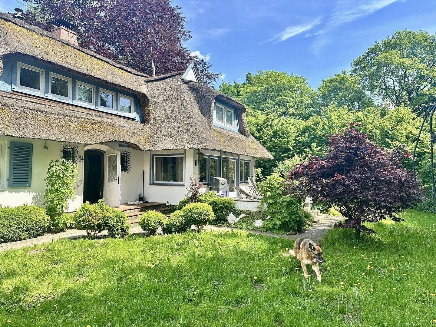 Prodej domu 169 m², pozemek 4.300 m², Vohrbek 2, Giekau, Šlesvicko-Holštýnsko Prodej domu 169 m², pozemek 4.300 m², Vohrbek 2, Giekau, Šlesvicko-Holštýnsko