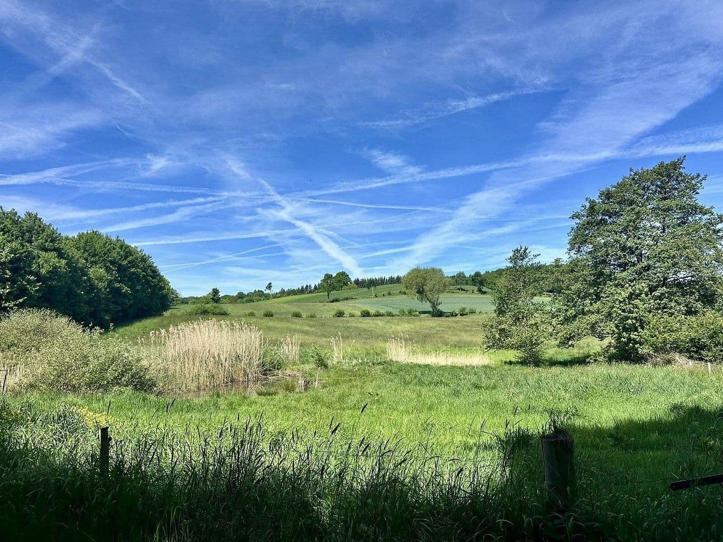 Prodej domu 169 m², pozemek 4.300 m², Vohrbek 2, Giekau, Šlesvicko-Holštýnsko Prodej domu 169 m², pozemek 4.300 m², Vohrbek 2, Giekau, Šlesvicko-Holštýnsko