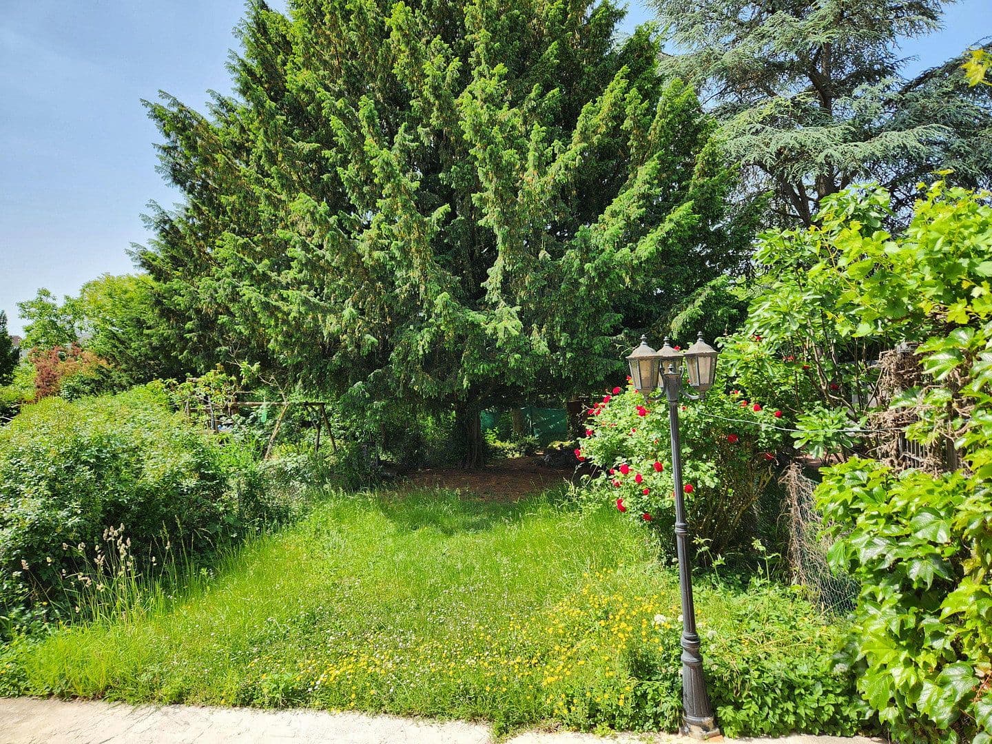 Pronájem domu 85 m², pozemek 254 m², Wiesbaden, Hessen Pronájem domu 85 m², pozemek 254 m², Wiesbaden, Hessen