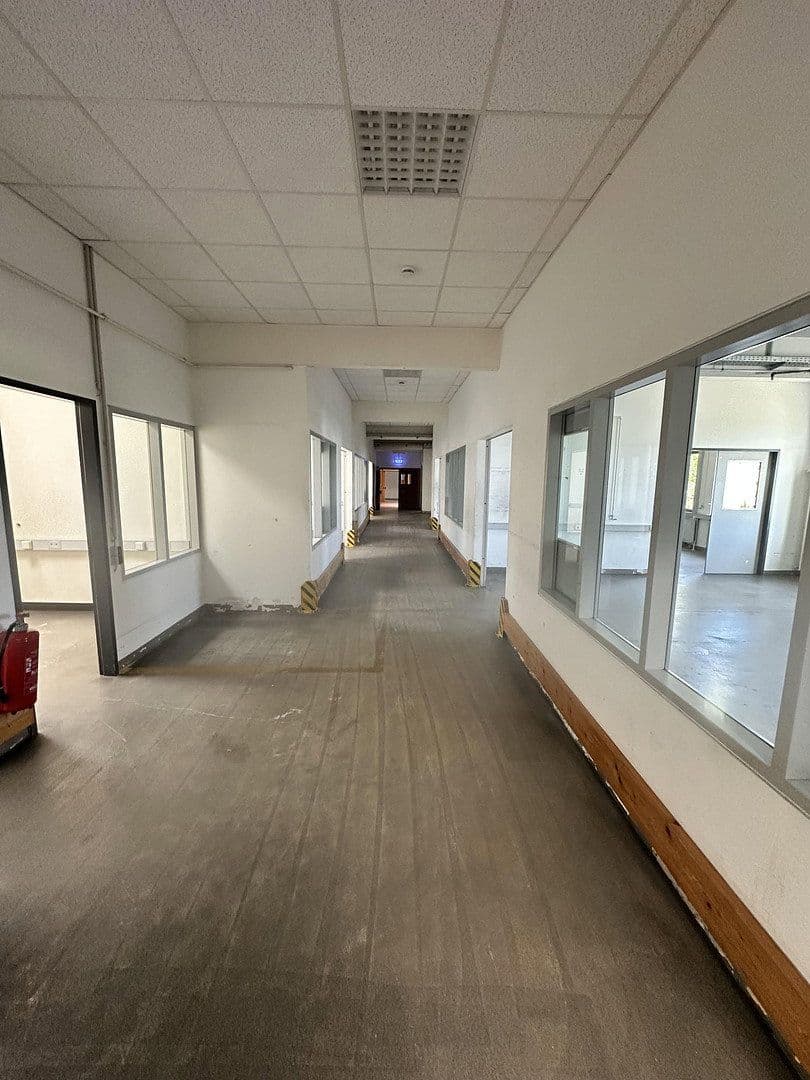 Pronájem nebytového prostoru 1.007 m², Waldstr 3, Lauchringen, Bádensko-Württembersko Pronájem nebytového prostoru 1.007 m², Waldstr 3, Lauchringen, Bádensko-Württembersko