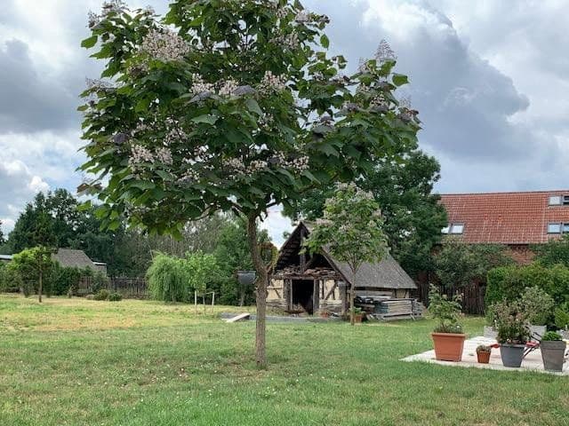Prodej domu 900 m², pozemek 8.230 m², Luckau, Braniborsko Prodej domu 900 m², pozemek 8.230 m², Luckau, Braniborsko