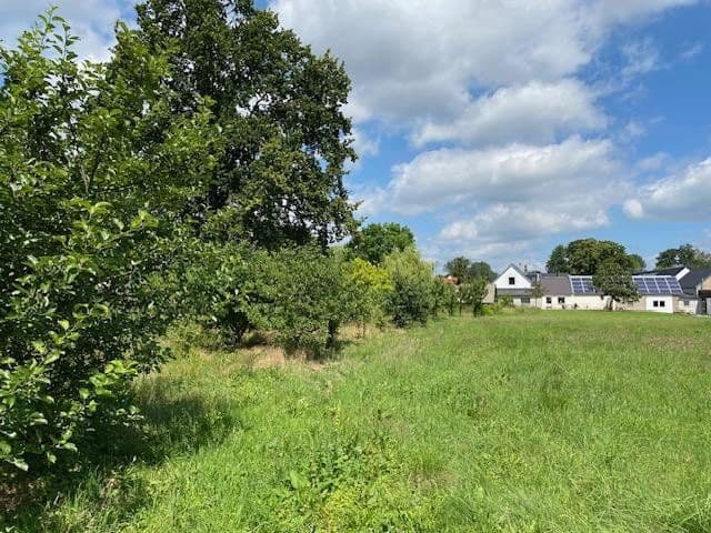 Prodej domu 900 m², pozemek 8.230 m², Luckau, Braniborsko Prodej domu 900 m², pozemek 8.230 m², Luckau, Braniborsko