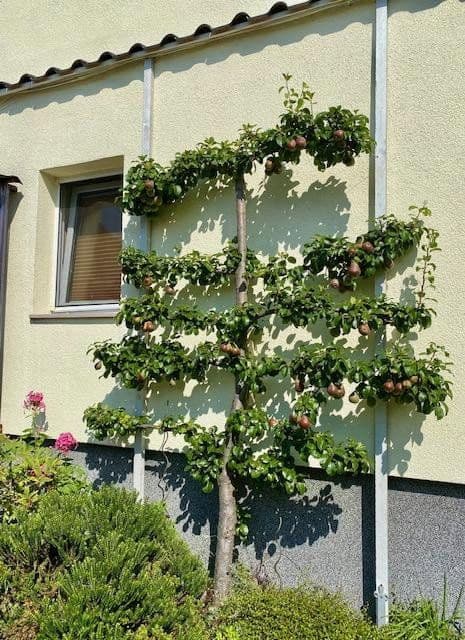 Prodej domu 900 m², pozemek 8.230 m², Luckau, Braniborsko Prodej domu 900 m², pozemek 8.230 m², Luckau, Braniborsko