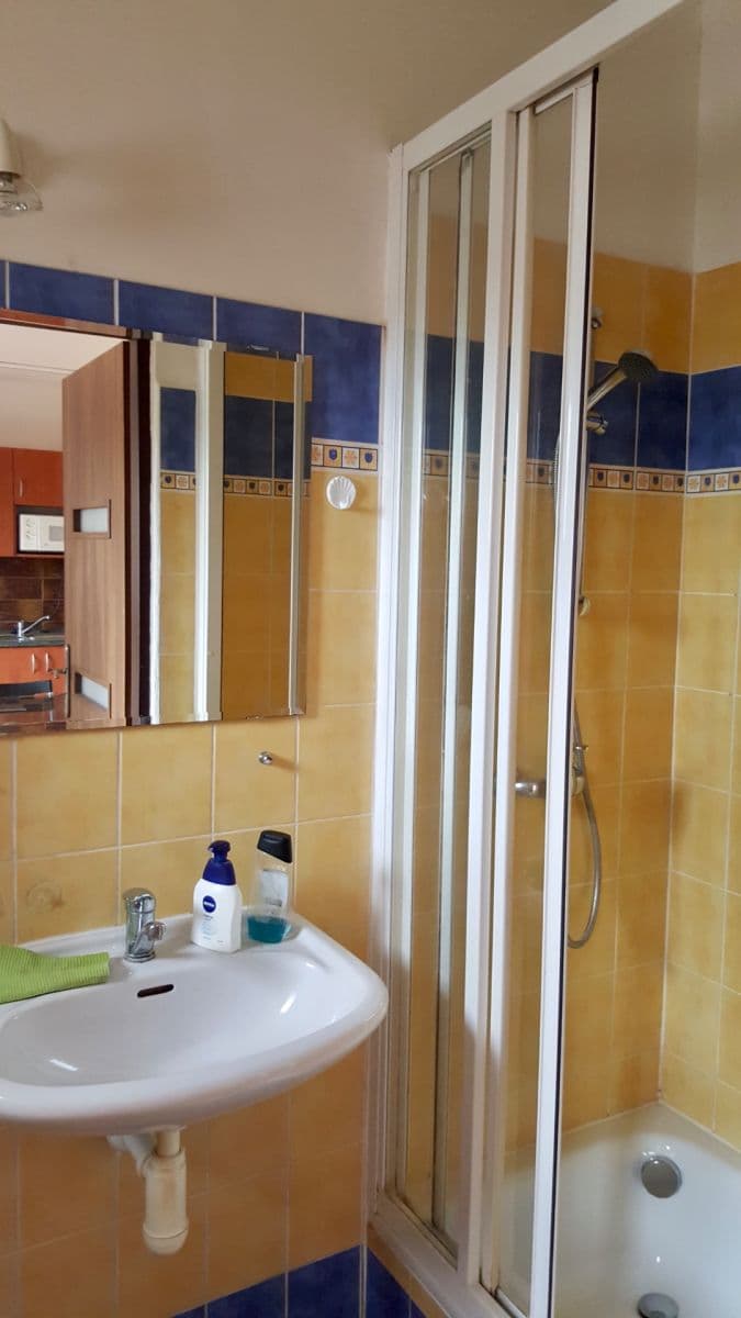 Pronájem bytu 2+kk 45 m², Jeníčkova, Brno, Jihomoravský kraj Pronájem bytu 2+kk 45 m², Jeníčkova, Brno, Jihomoravský kraj