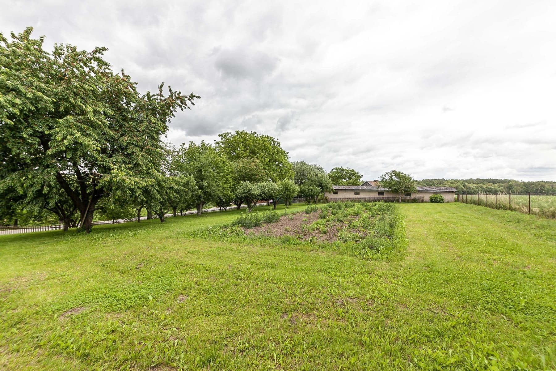 Prodej domu 196 m², pozemek 3.601 m², Běchary, Královéhradecký kraj Prodej domu 196 m², pozemek 3.601 m², Běchary, Královéhradecký kraj