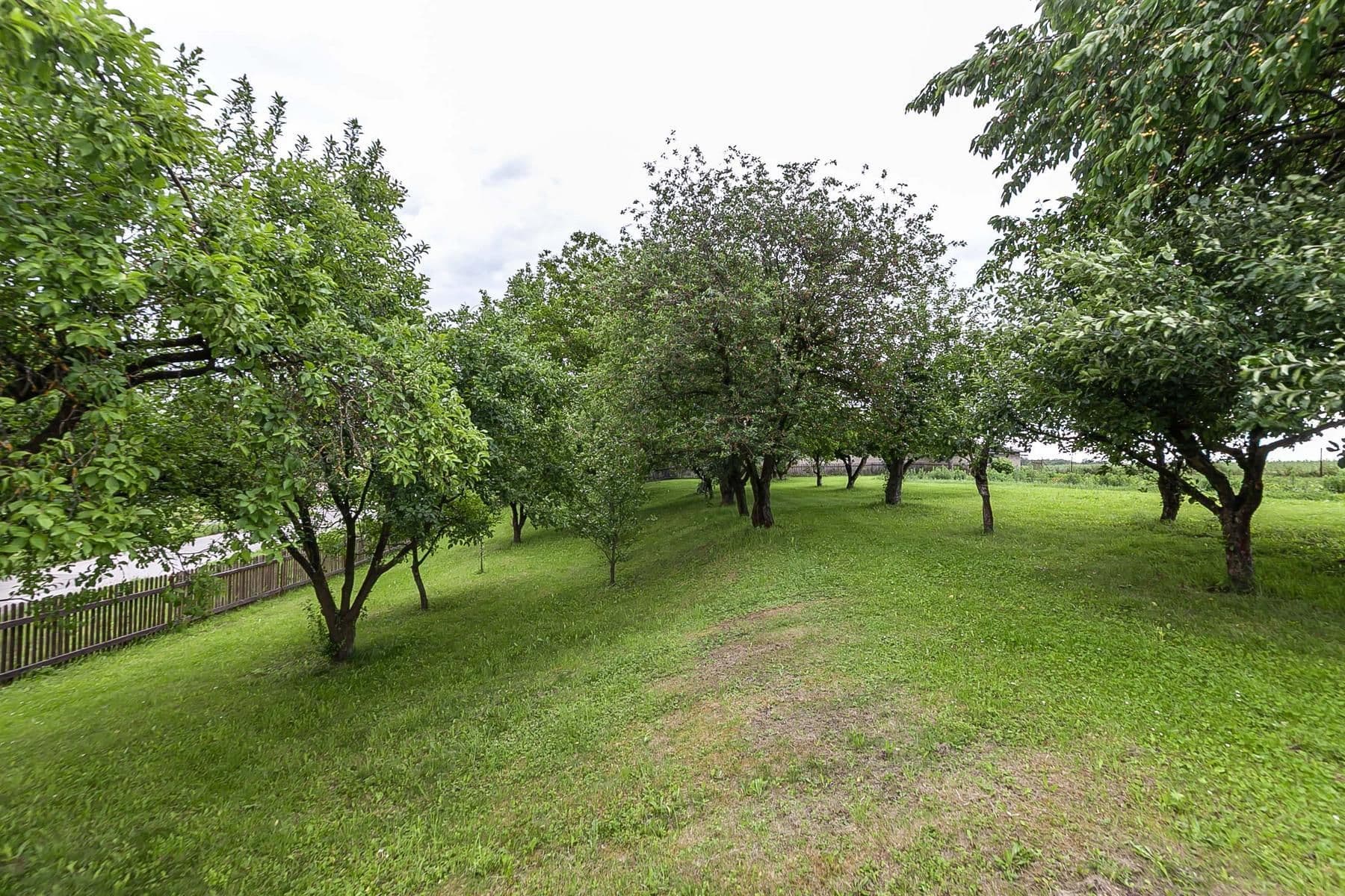 Prodej domu 196 m², pozemek 3.601 m², Běchary, Královéhradecký kraj Prodej domu 196 m², pozemek 3.601 m², Běchary, Královéhradecký kraj