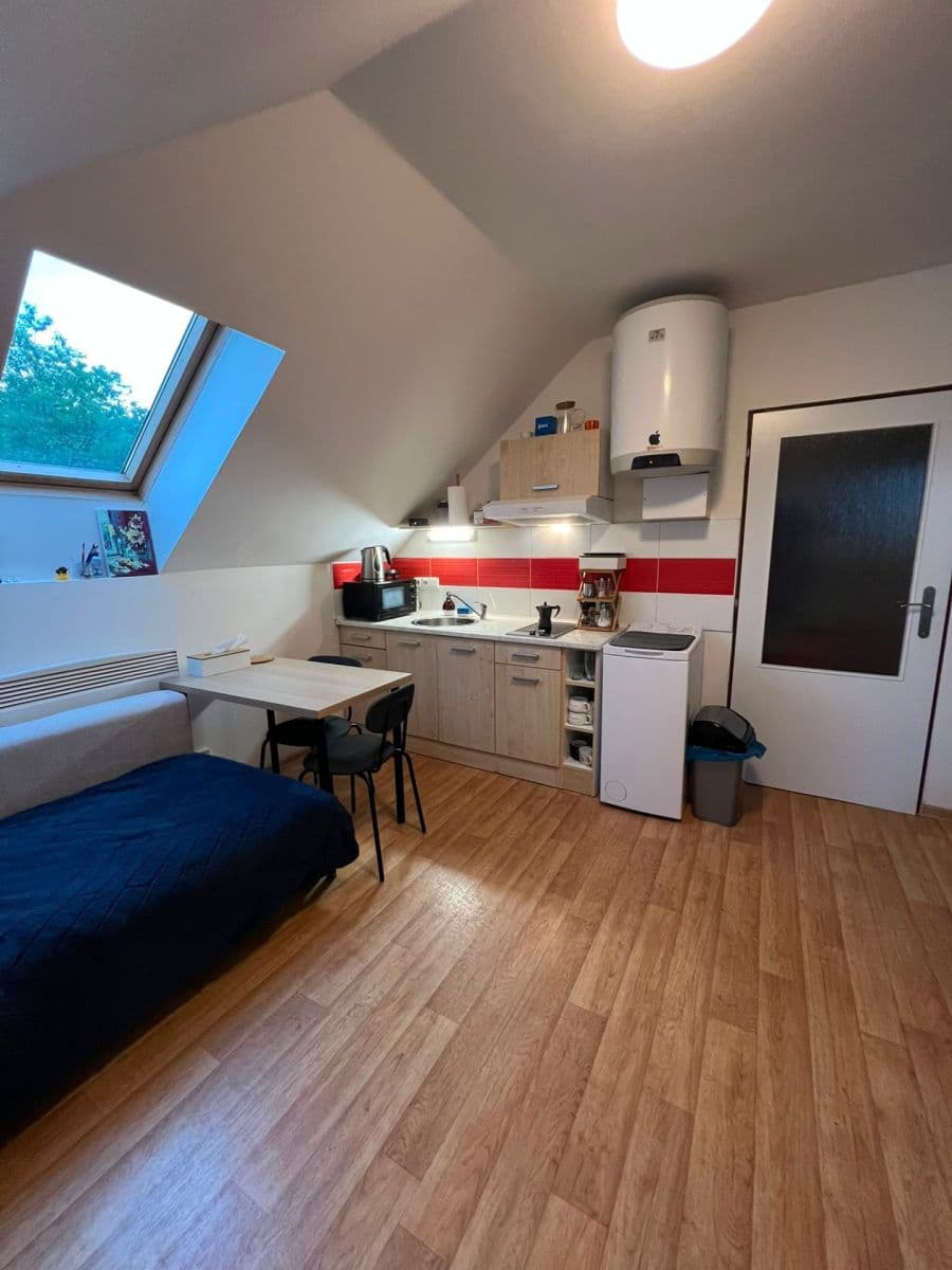 Pronájem bytu 1+kk 32 m², V Korytech, Praha, Praha Pronájem bytu 1+kk 32 m², V Korytech, Praha, Praha