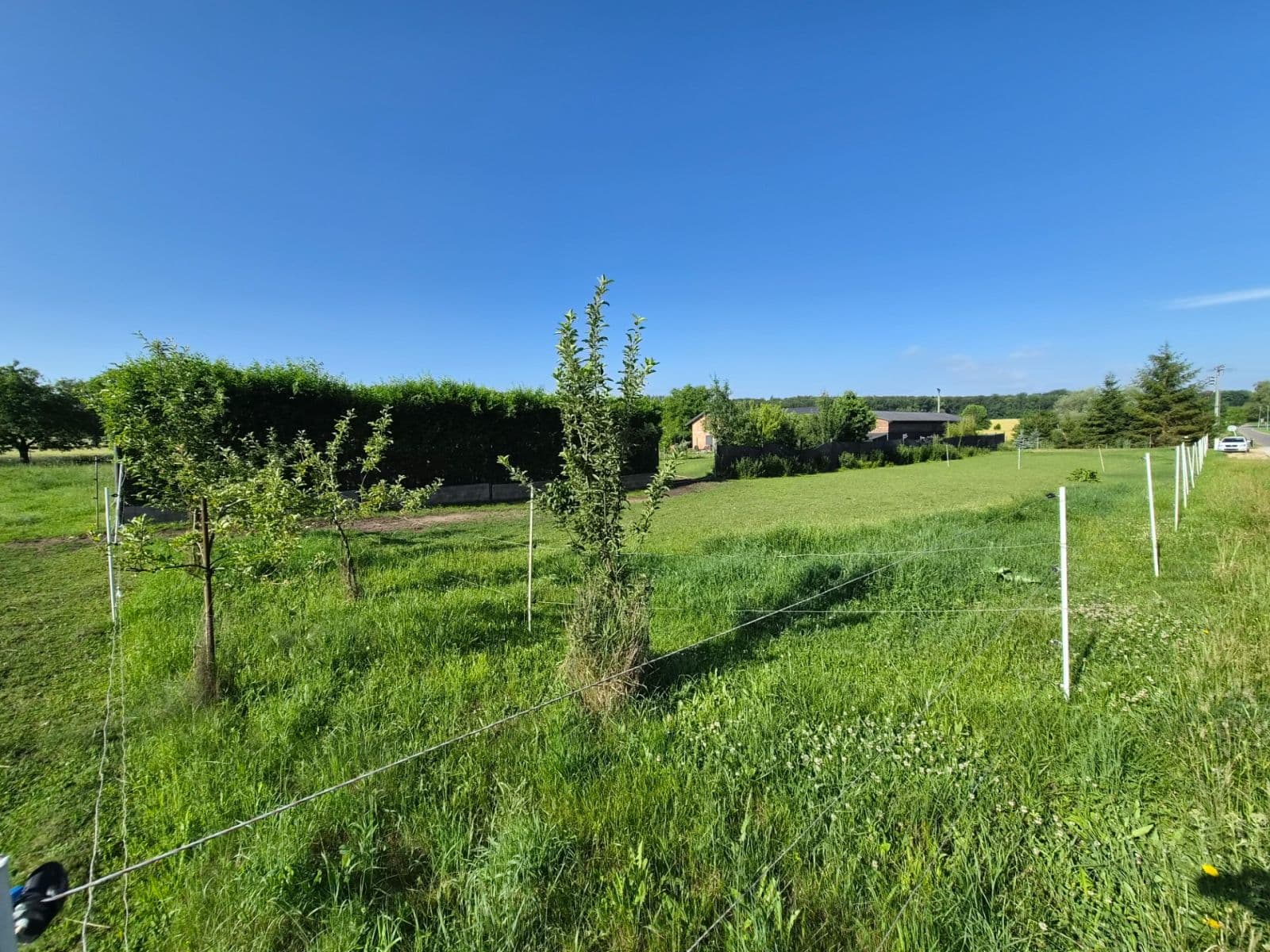 Prodej pozemku 1.277 m², Dobřenice, Královéhradecký kraj Prodej pozemku 1.277 m², Dobřenice, Královéhradecký kraj