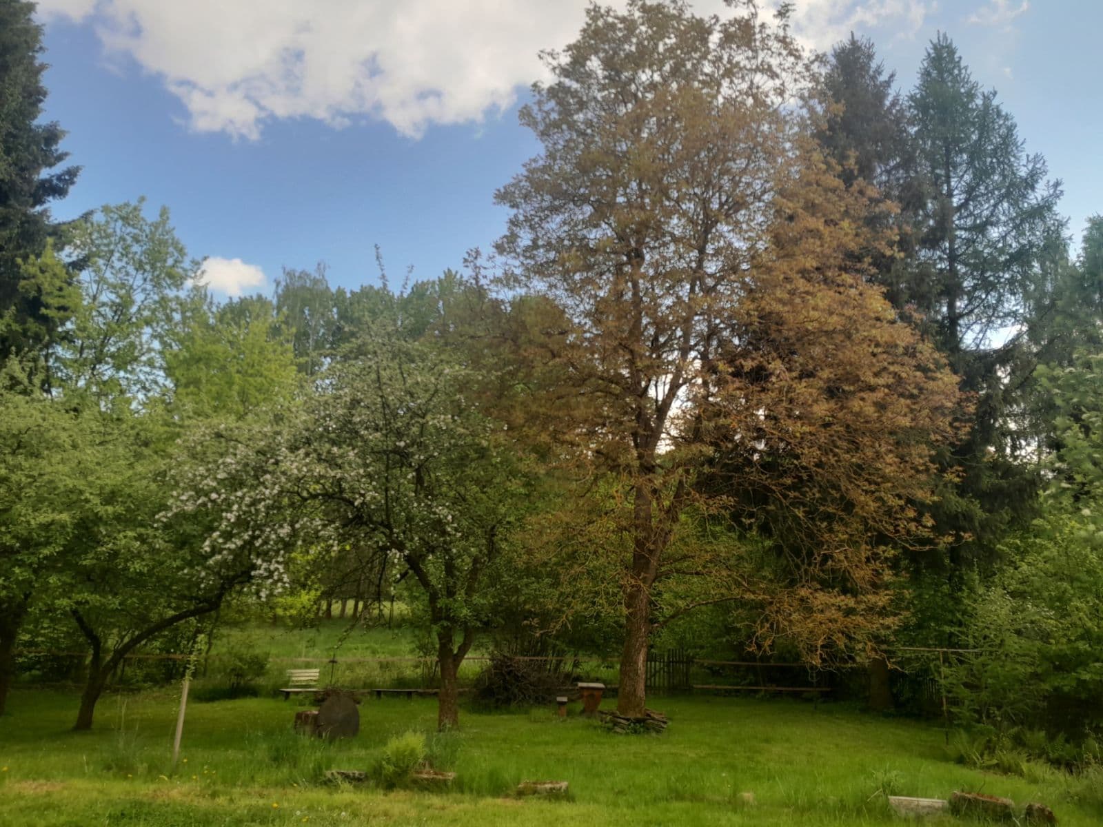 Prodej domu 160 m², pozemek 3.600 m², Chřibská, Ústecký kraj Prodej domu 160 m², pozemek 3.600 m², Chřibská, Ústecký kraj