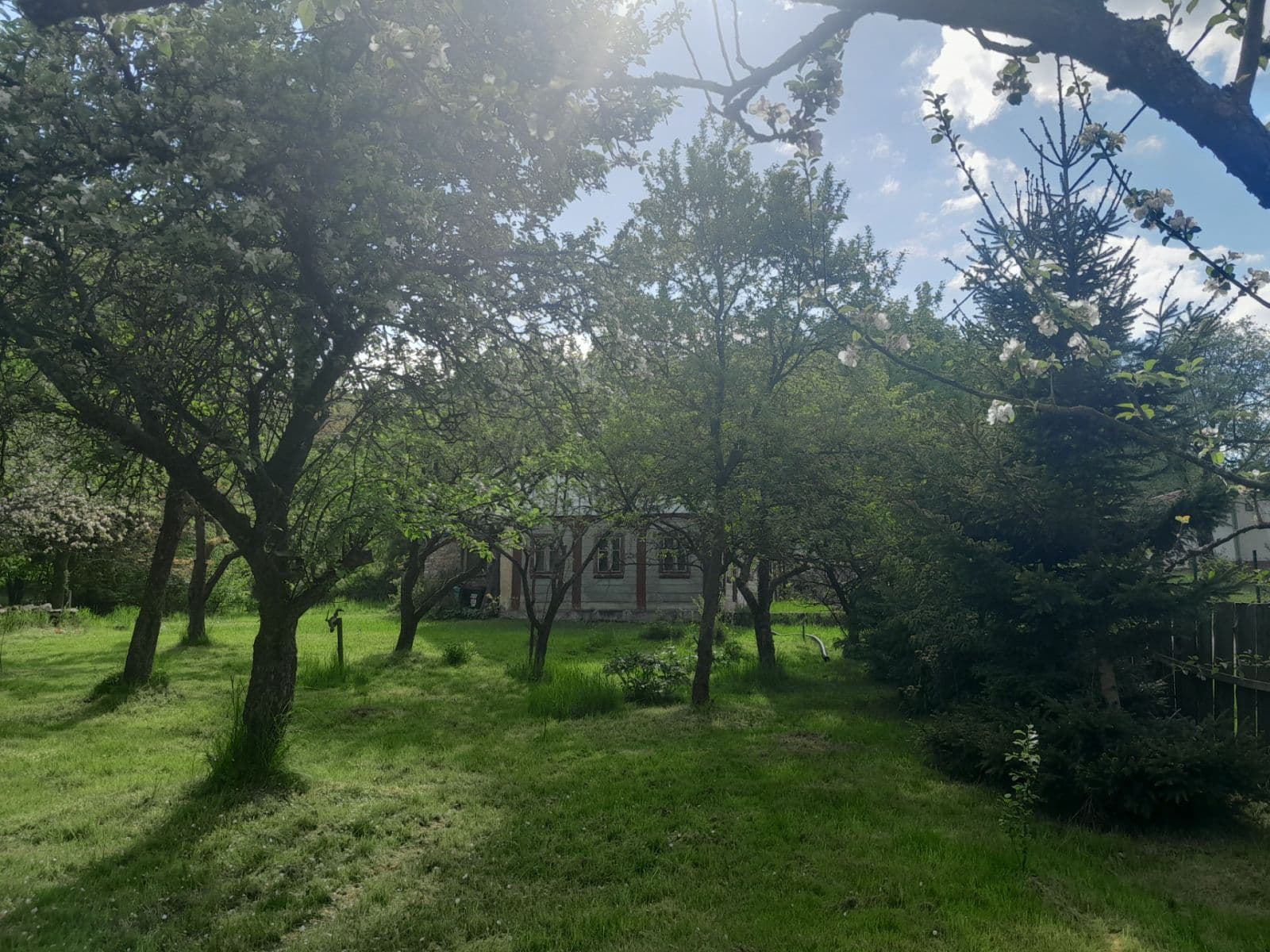 Prodej domu 160 m², pozemek 3.600 m², Chřibská, Ústecký kraj Prodej domu 160 m², pozemek 3.600 m², Chřibská, Ústecký kraj