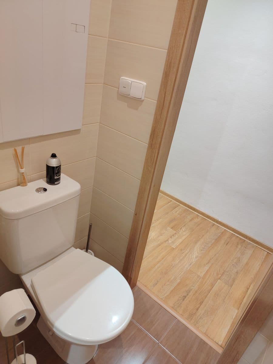 Pronájem bytu 2+1 59 m², Brandlova, Hodonín, Jihomoravský kraj Pronájem bytu 2+1 59 m², Brandlova, Hodonín, Jihomoravský kraj