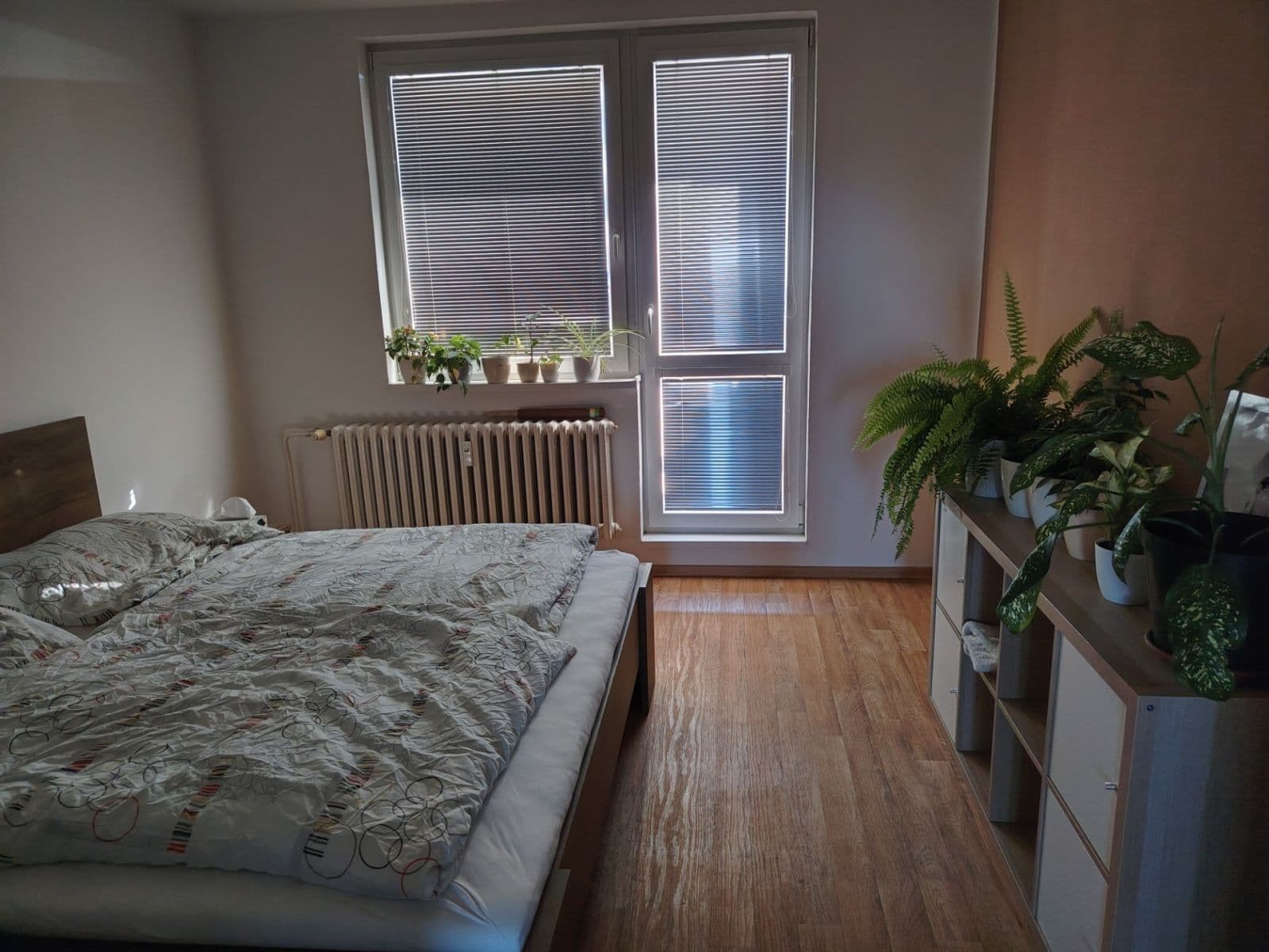 Pronájem bytu 2+1 59 m², Brandlova, Hodonín, Jihomoravský kraj Pronájem bytu 2+1 59 m², Brandlova, Hodonín, Jihomoravský kraj