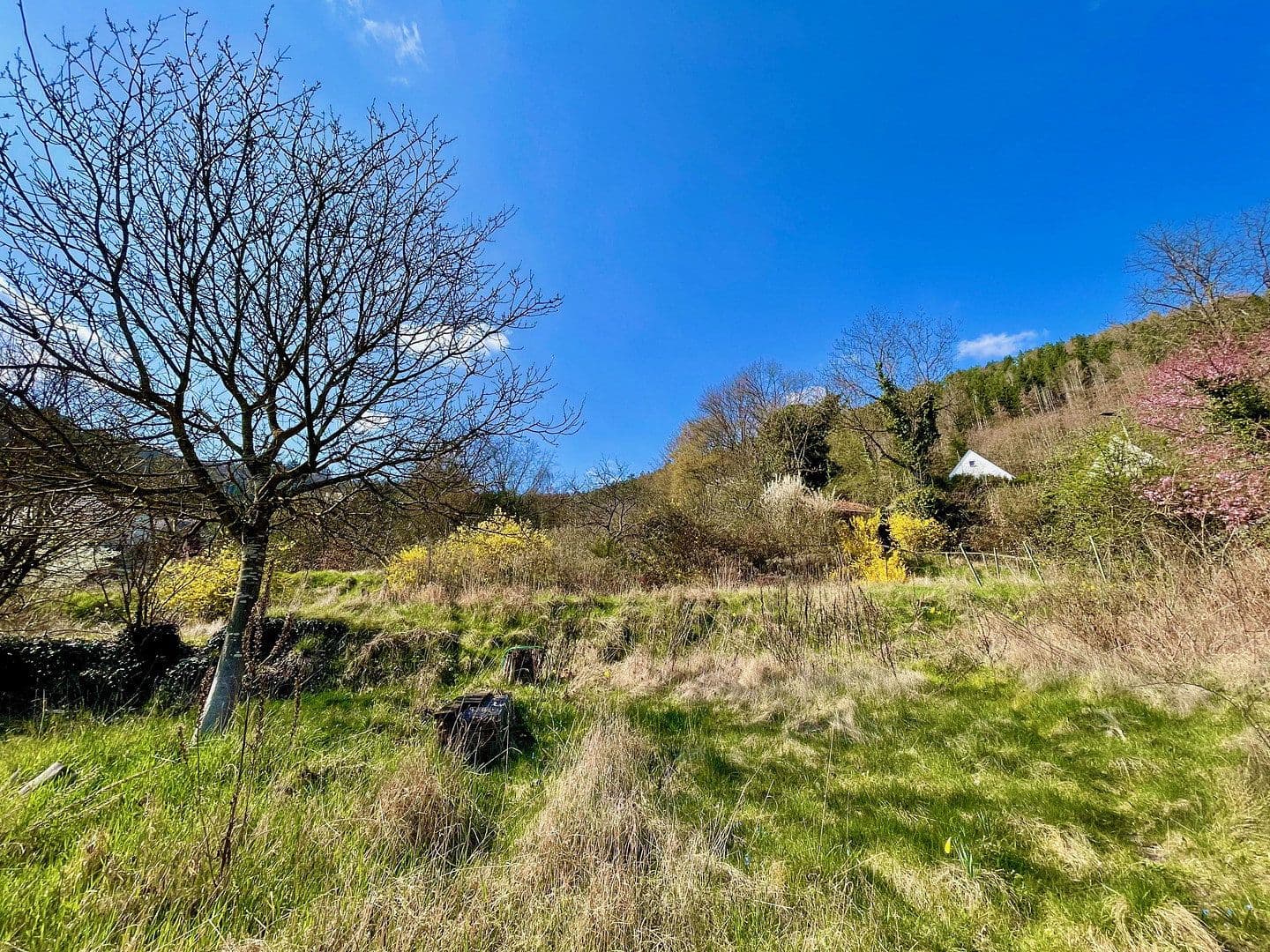 Prodej bytu 5+1 140 m², Talstr. 71, Frankeneck, Porýní-Falc Prodej bytu 5+1 140 m², Talstr. 71, Frankeneck, Porýní-Falc