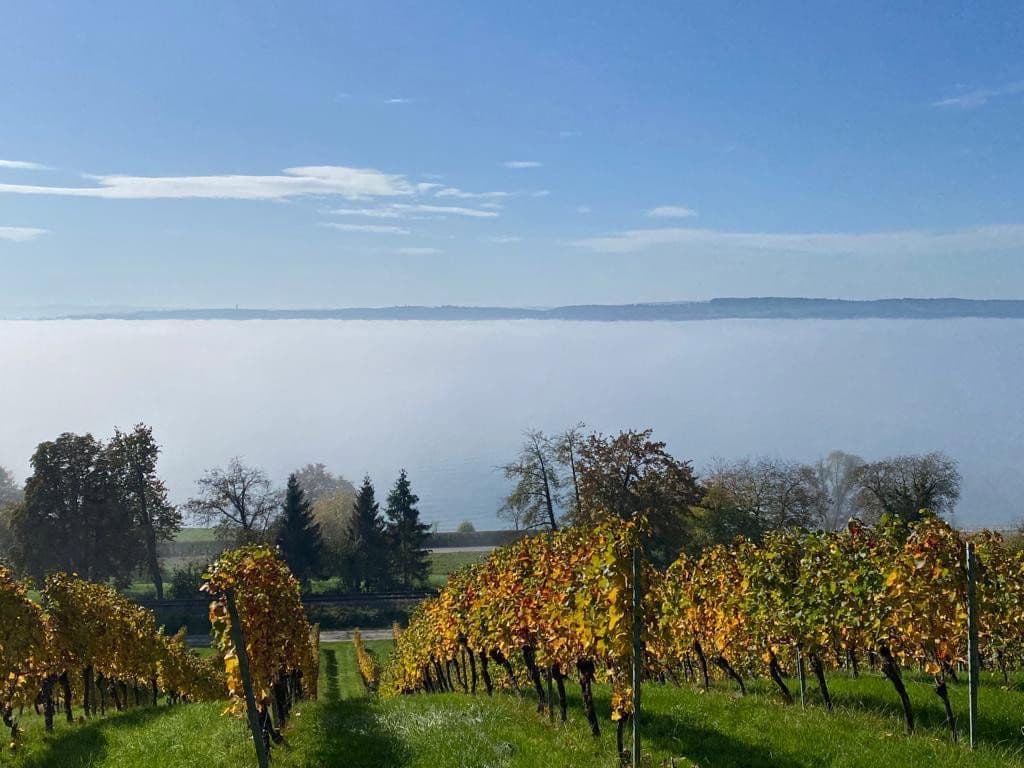 Pronájem bytu 2+kk 55 m², August-Beckh-Weg 7, Friedrichshafen, Bádensko-Württembersko Pronájem bytu 2+kk 55 m², August-Beckh-Weg 7, Friedrichshafen, Bádensko-Württembersko