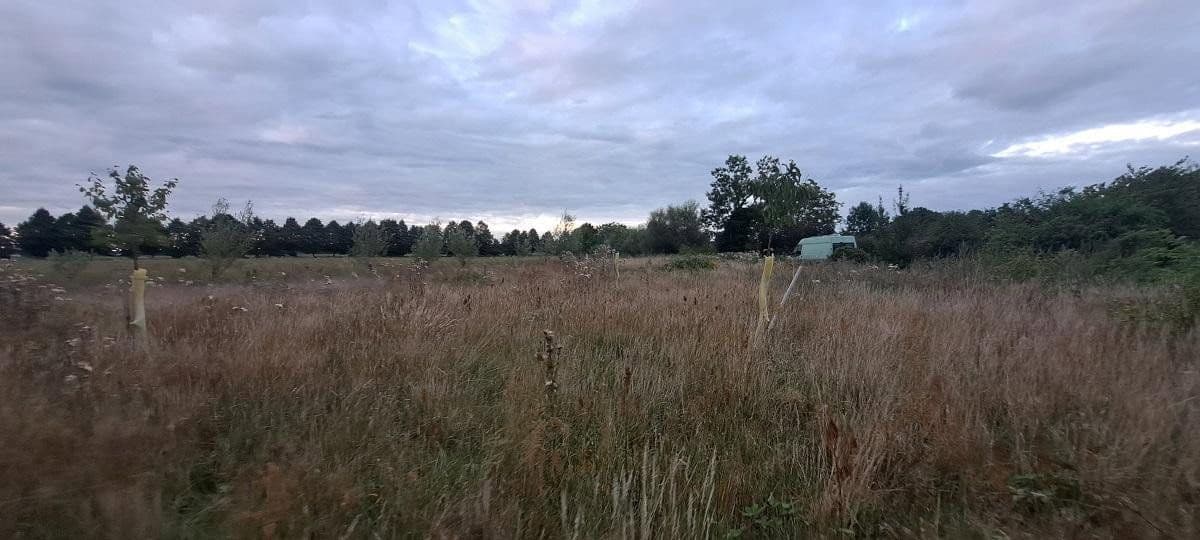 Prodej pozemku 2.886 m², Gartenweg 10, Seeblick, Braniborsko Prodej pozemku 2.886 m², Gartenweg 10, Seeblick, Braniborsko