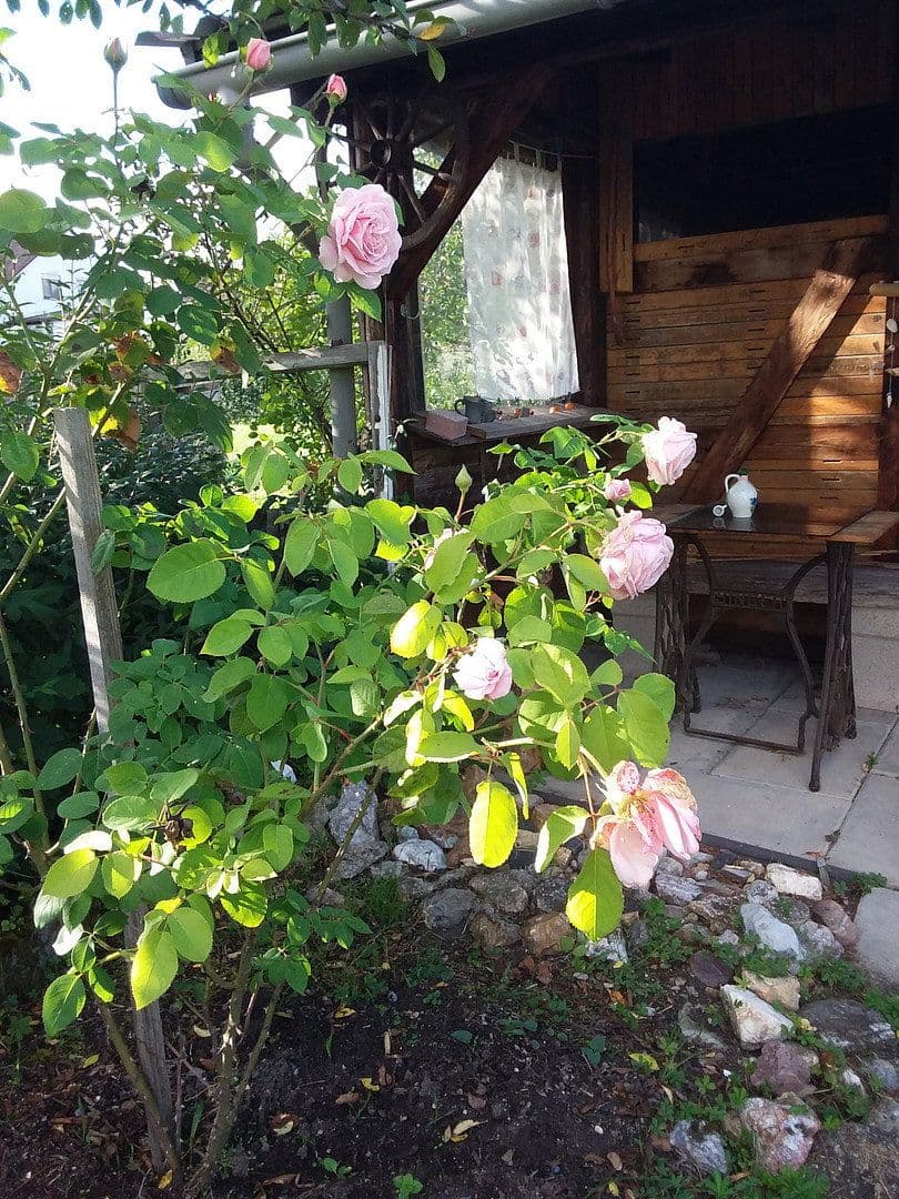 Prodej domu 144 m², pozemek 1.472 m², Kreßberg, Bádensko-Württembersko Prodej domu 144 m², pozemek 1.472 m², Kreßberg, Bádensko-Württembersko