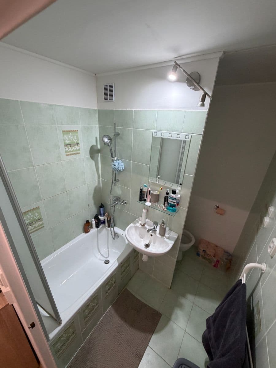 Pronájem bytu 1+kk 44 m², Rerychova, Brno, Jihomoravský kraj Pronájem bytu 1+kk 44 m², Rerychova, Brno, Jihomoravský kraj