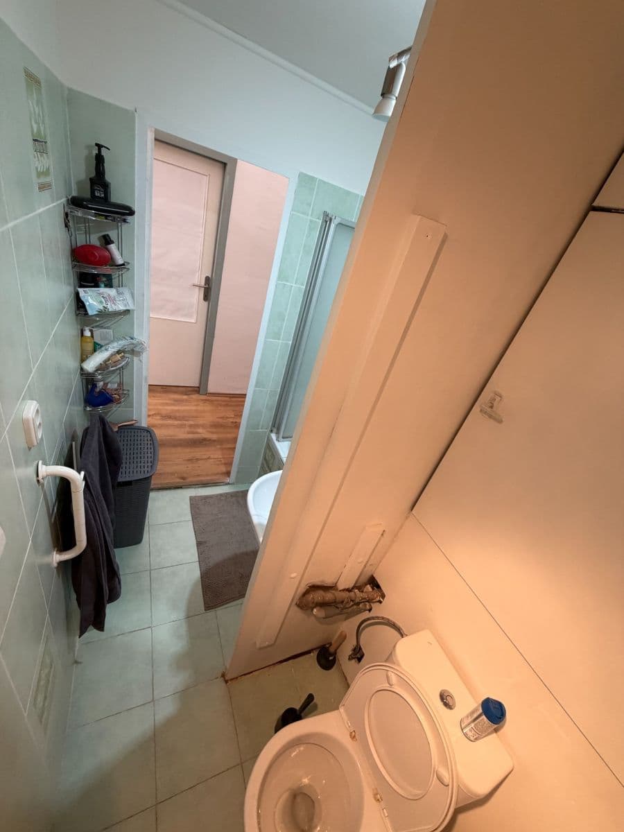 Pronájem bytu 1+kk 44 m², Rerychova, Brno, Jihomoravský kraj Pronájem bytu 1+kk 44 m², Rerychova, Brno, Jihomoravský kraj