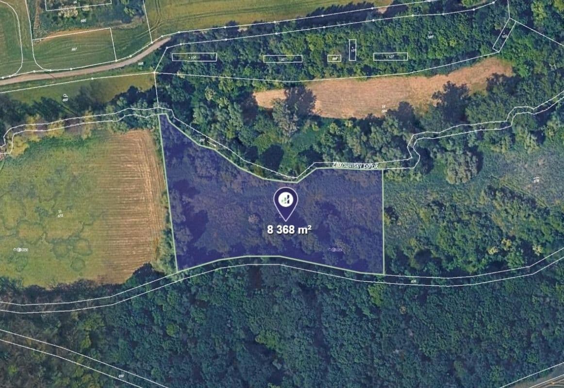 Prodej pozemku 8.368 m², Číčovice, Středočeský kraj Prodej pozemku 8.368 m², Číčovice, Středočeský kraj