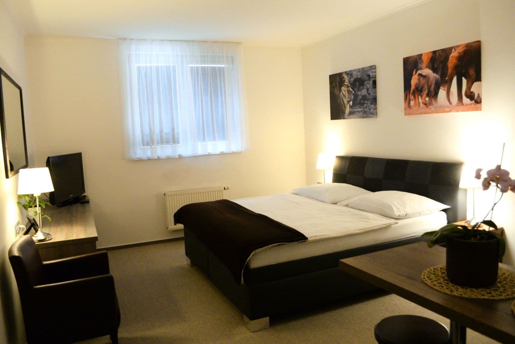 Pronájem bytu 1+kk 23 m², Letců, Olomouc, Olomoucký kraj Pronájem bytu 1+kk 23 m², Letců, Olomouc, Olomoucký kraj