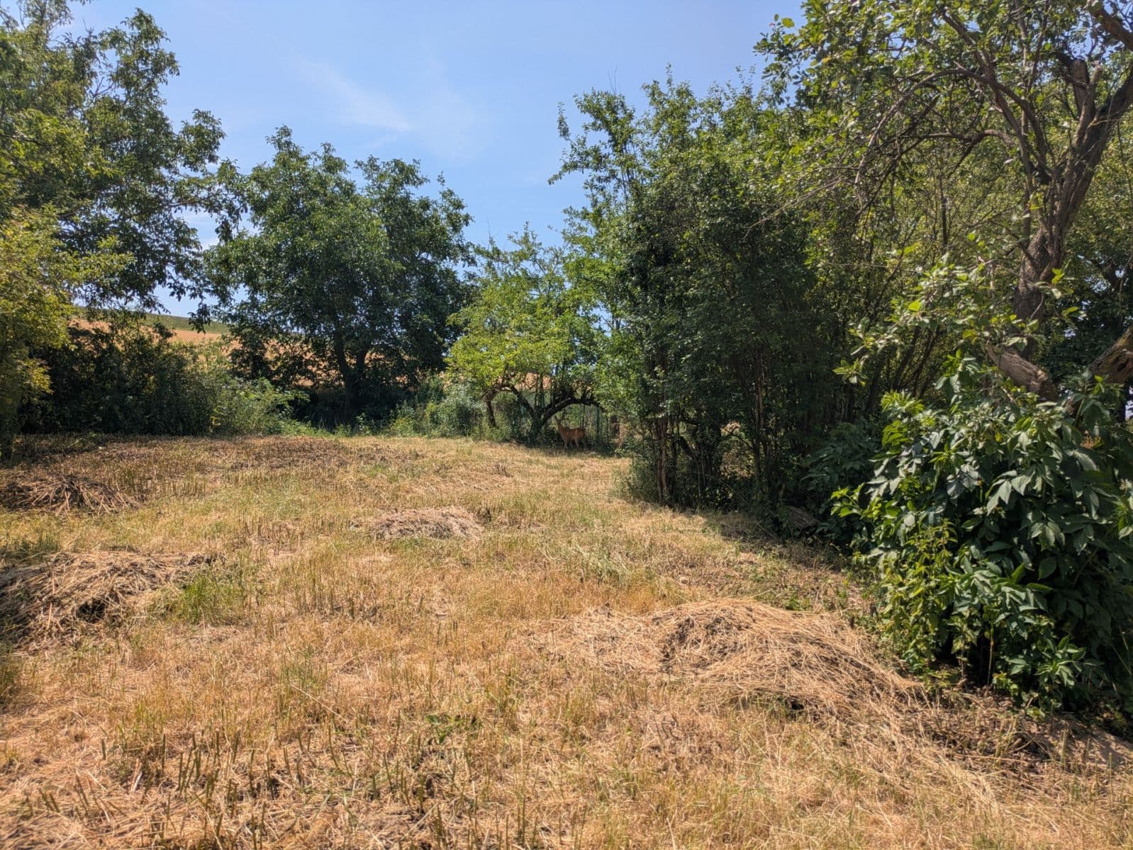 Prodej domu 157 m², pozemek 1.071 m², Kojátky, Jihomoravský kraj Prodej domu 157 m², pozemek 1.071 m², Kojátky, Jihomoravský kraj