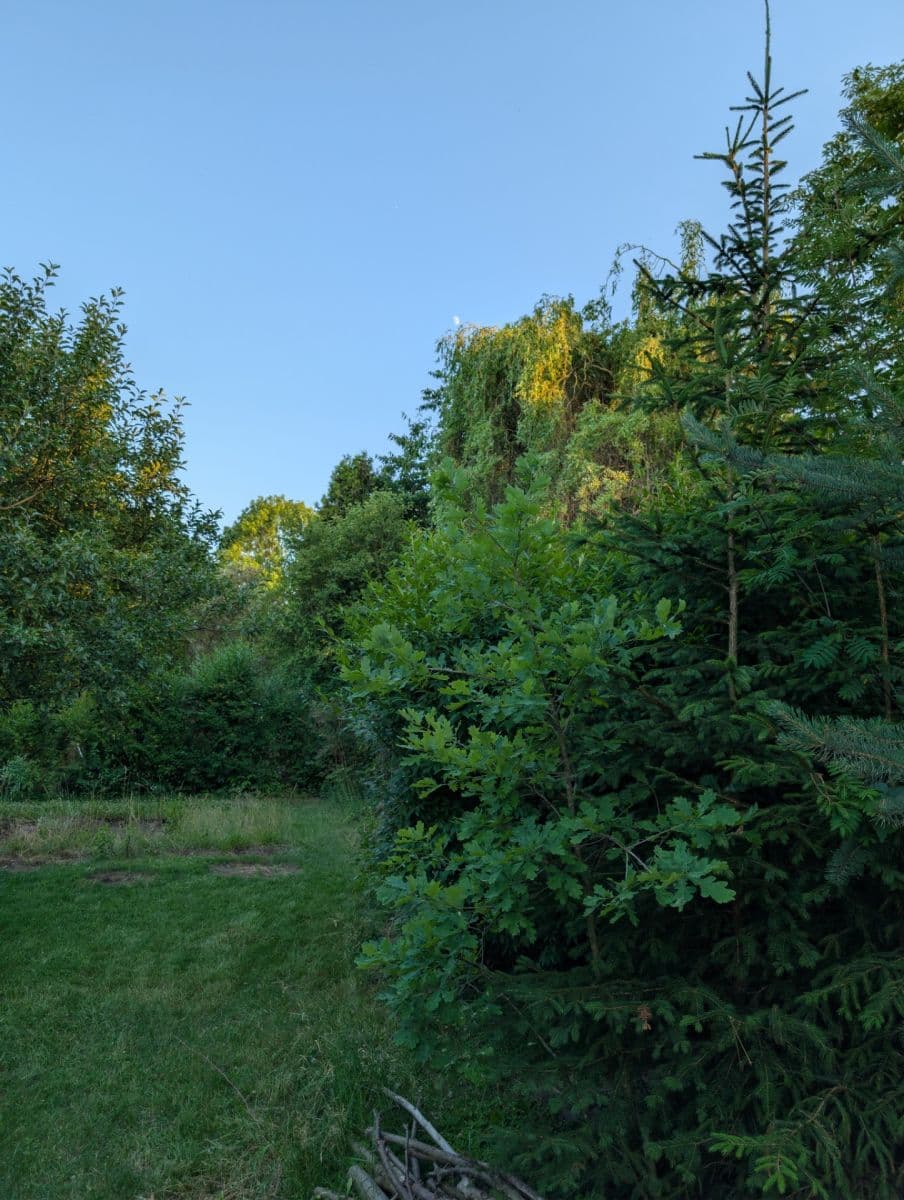 Prodej chaty, chalupy 20 m², pozemek 400 m², Rousínovská, Praha, Praha Prodej chaty, chalupy 20 m², pozemek 400 m², Rousínovská, Praha, Praha