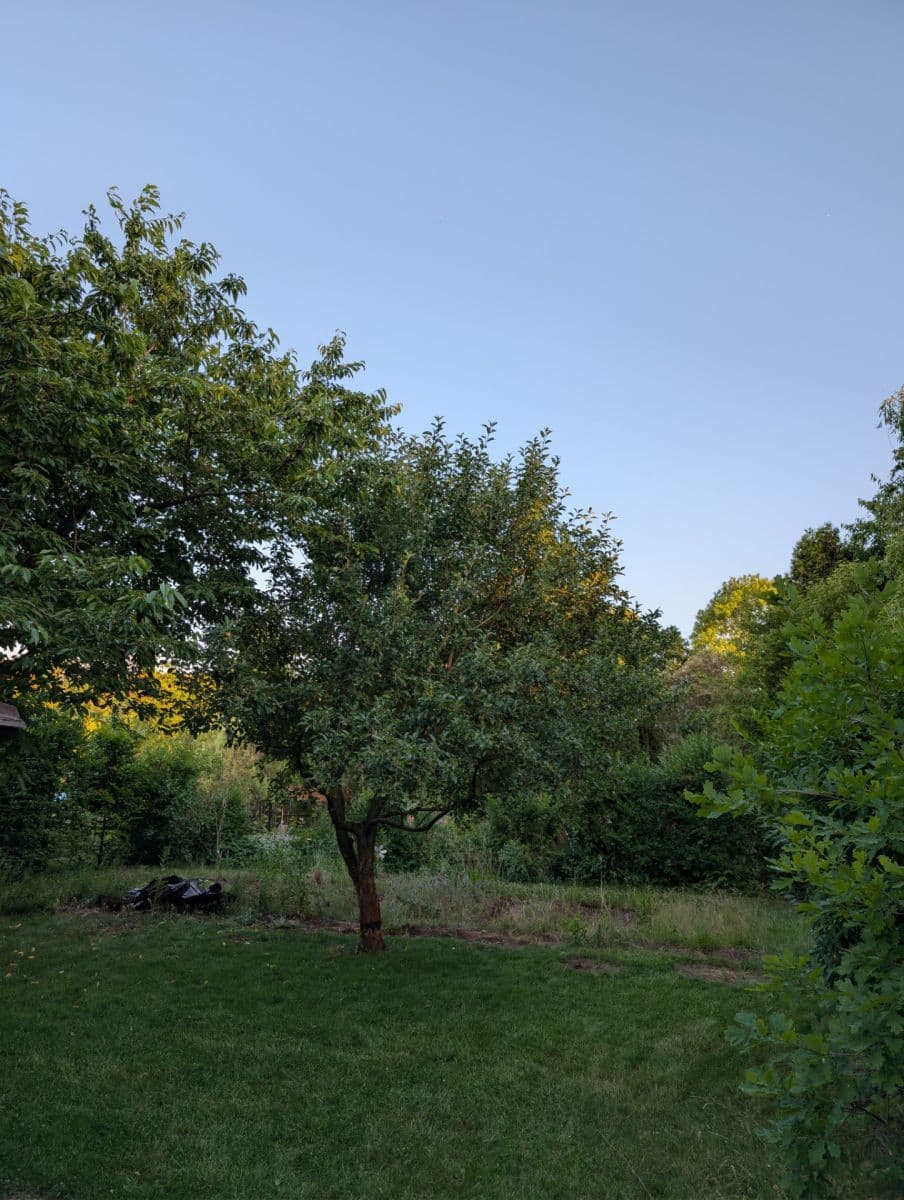 Prodej chaty, chalupy 20 m², pozemek 400 m², Rousínovská, Praha, Praha Prodej chaty, chalupy 20 m², pozemek 400 m², Rousínovská, Praha, Praha