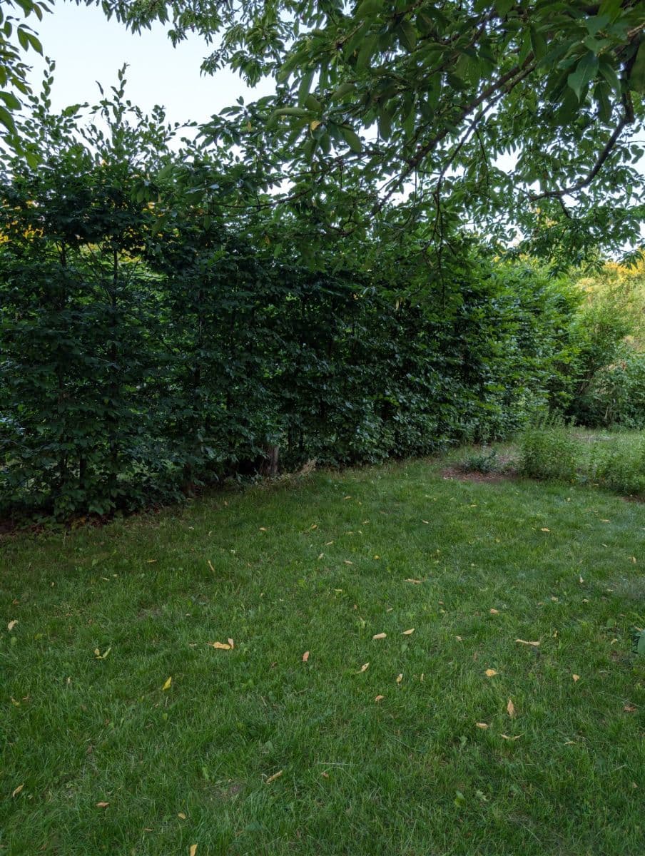 Prodej chaty, chalupy 20 m², pozemek 400 m², Rousínovská, Praha, Praha Prodej chaty, chalupy 20 m², pozemek 400 m², Rousínovská, Praha, Praha
