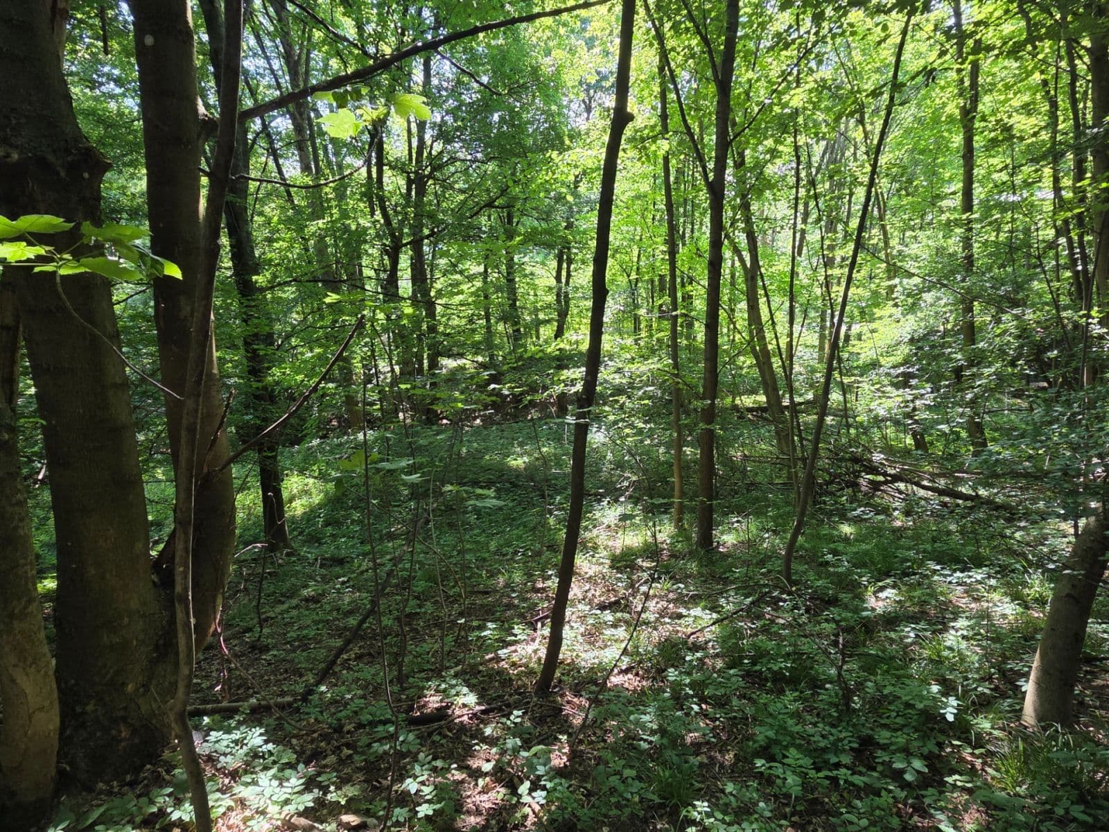 Prodej pozemku 1.881 m², Brestovec, Trenčiansky kraj Prodej pozemku 1.881 m², Brestovec, Trenčiansky kraj