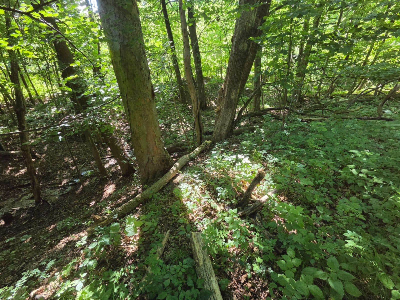 Prodej pozemku 1.881 m², Brestovec, Trenčiansky kraj Prodej pozemku 1.881 m², Brestovec, Trenčiansky kraj