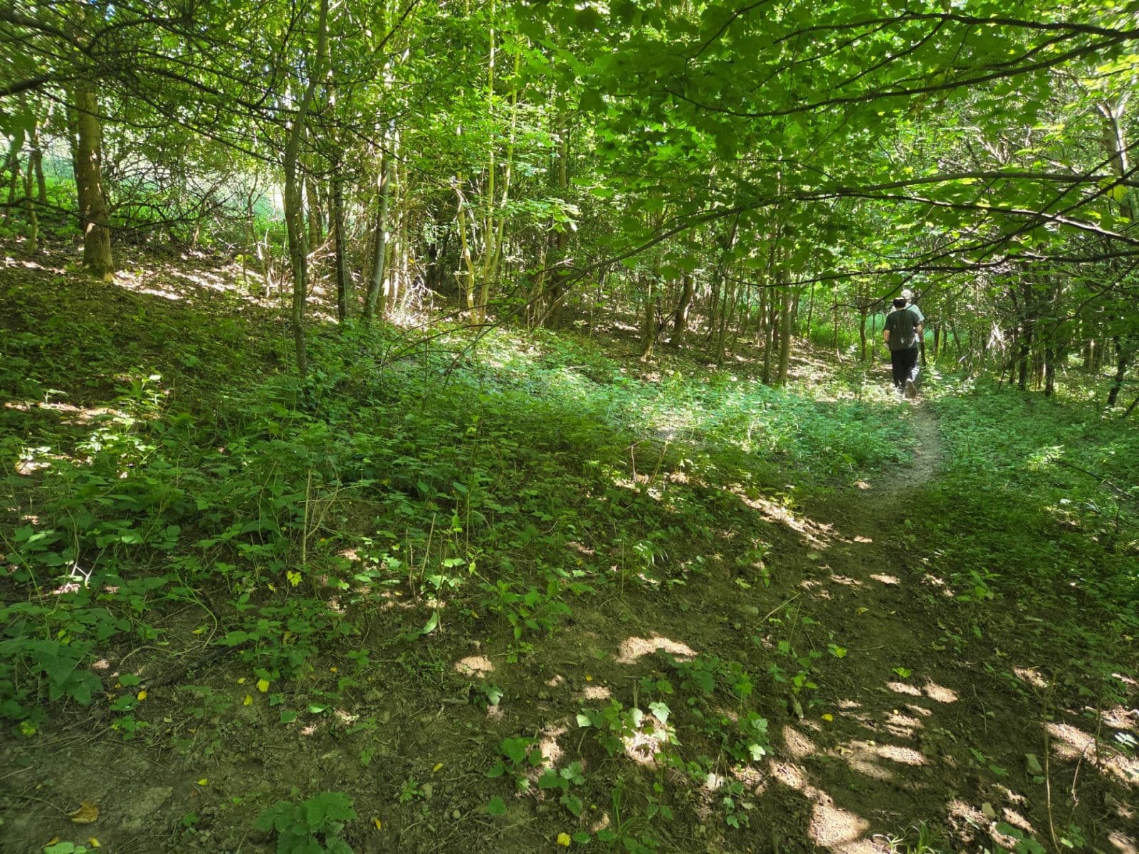 Prodej pozemku 1.881 m², Brestovec, Trenčiansky kraj Prodej pozemku 1.881 m², Brestovec, Trenčiansky kraj