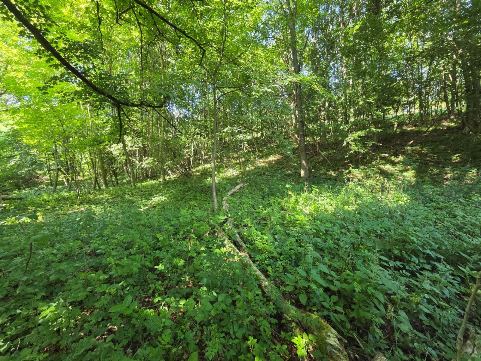 Prodej pozemku 1.881 m², Brestovec, Trenčiansky kraj Prodej pozemku 1.881 m², Brestovec, Trenčiansky kraj