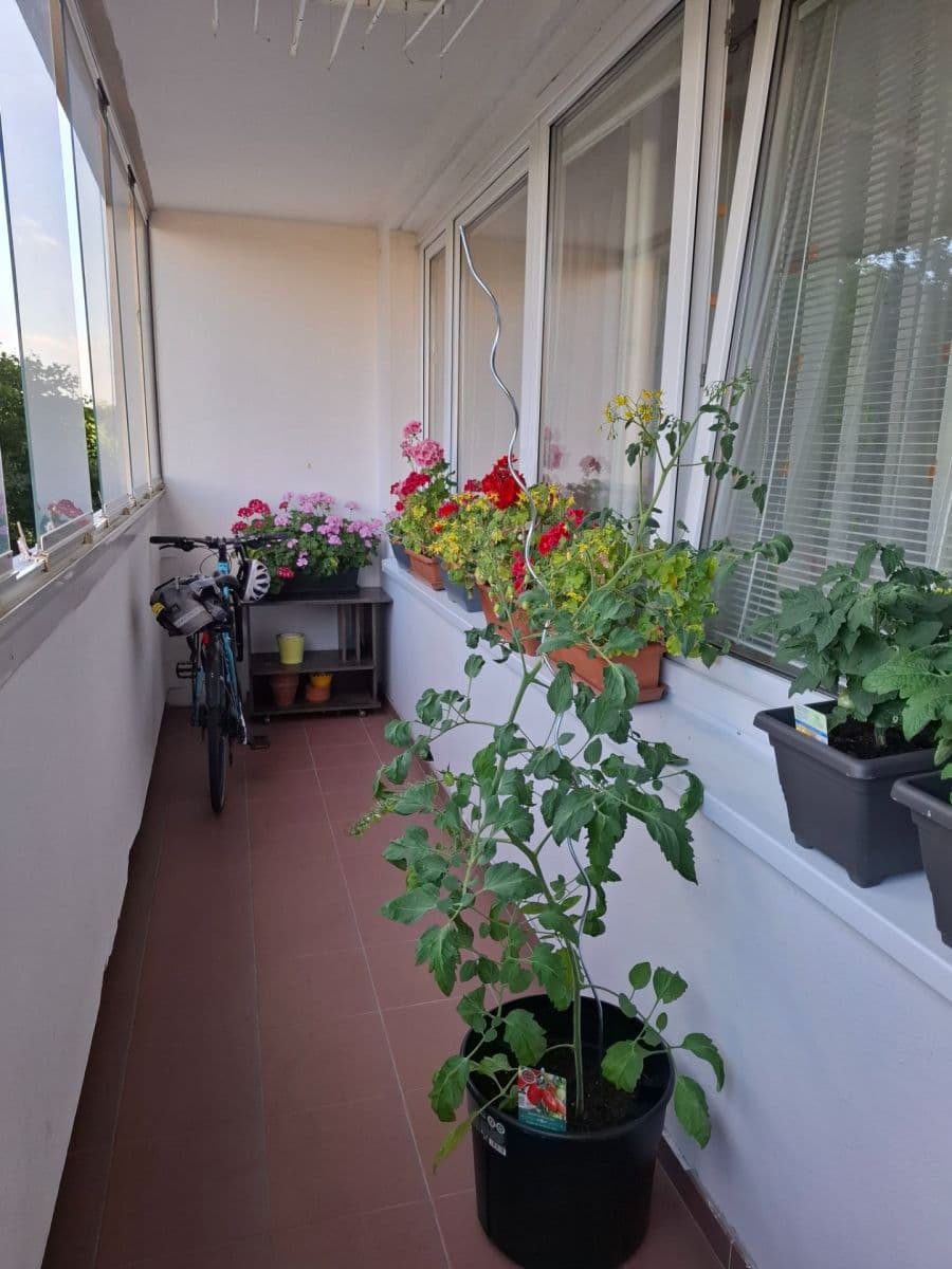 Prodej bytu 3+kk 68 m², Jílovská, Praha, Praha Prodej bytu 3+kk 68 m², Jílovská, Praha, Praha