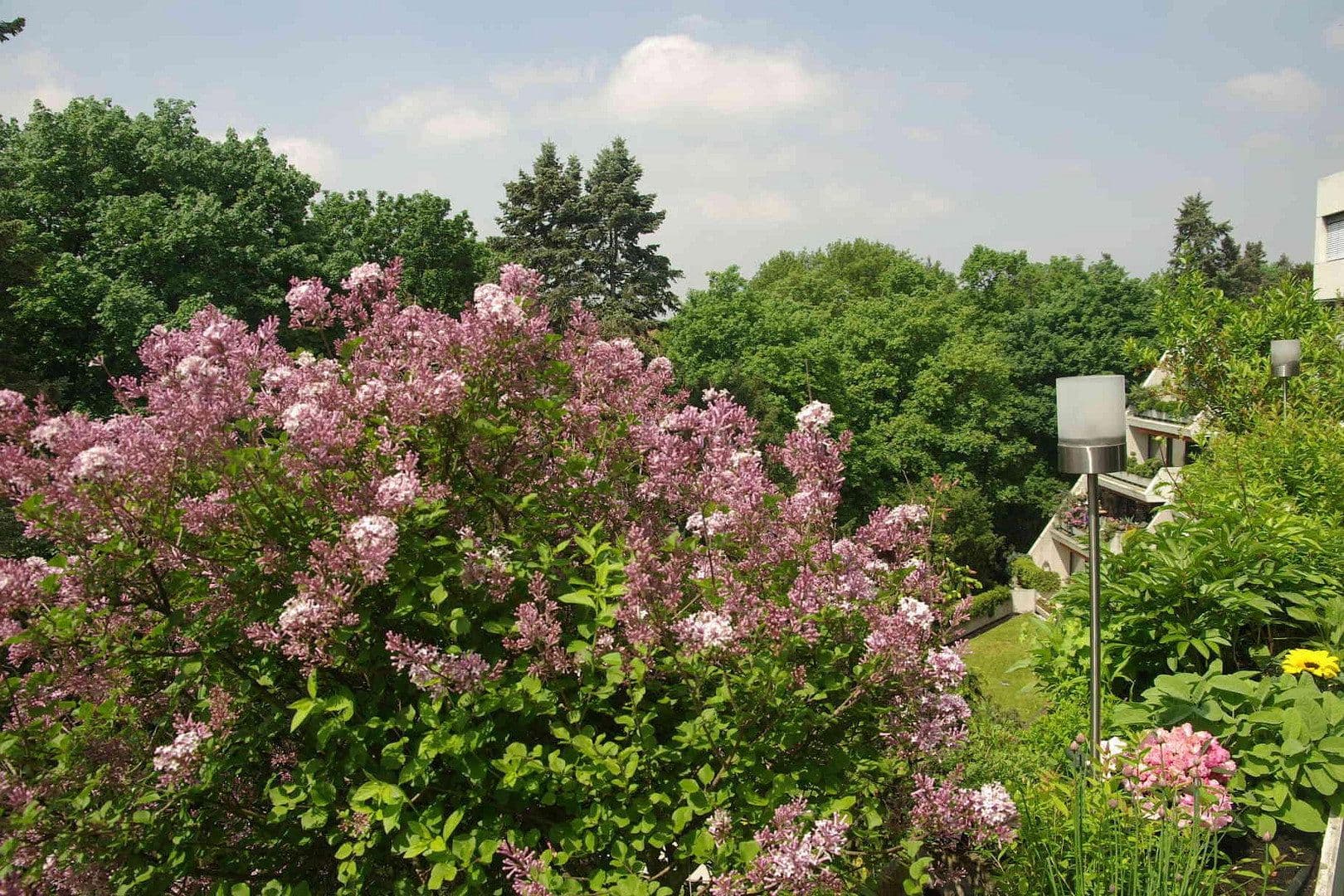 Pronájem bytu 3+1 190 m², Virchowstrasse, 9, Nürnberg, Bavorsko Pronájem bytu 3+1 190 m², Virchowstrasse, 9, Nürnberg, Bavorsko