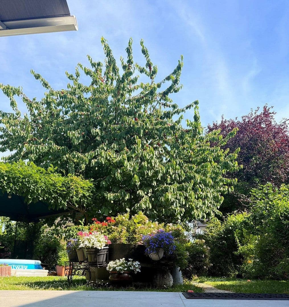 Prodej domu 94 m², pozemek 464 m², Köln, Severní Porýní-Vestfálsko Prodej domu 94 m², pozemek 464 m², Köln, Severní Porýní-Vestfálsko