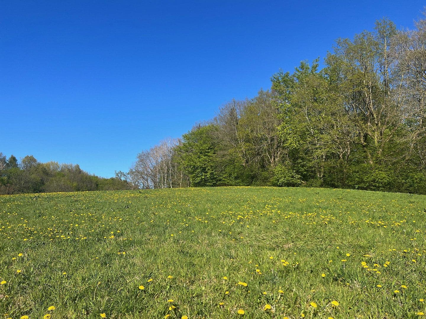 Pronájem domu 138 m², pozemek 192 m², Kiel, Šlesvicko-Holštýnsko Pronájem domu 138 m², pozemek 192 m², Kiel, Šlesvicko-Holštýnsko