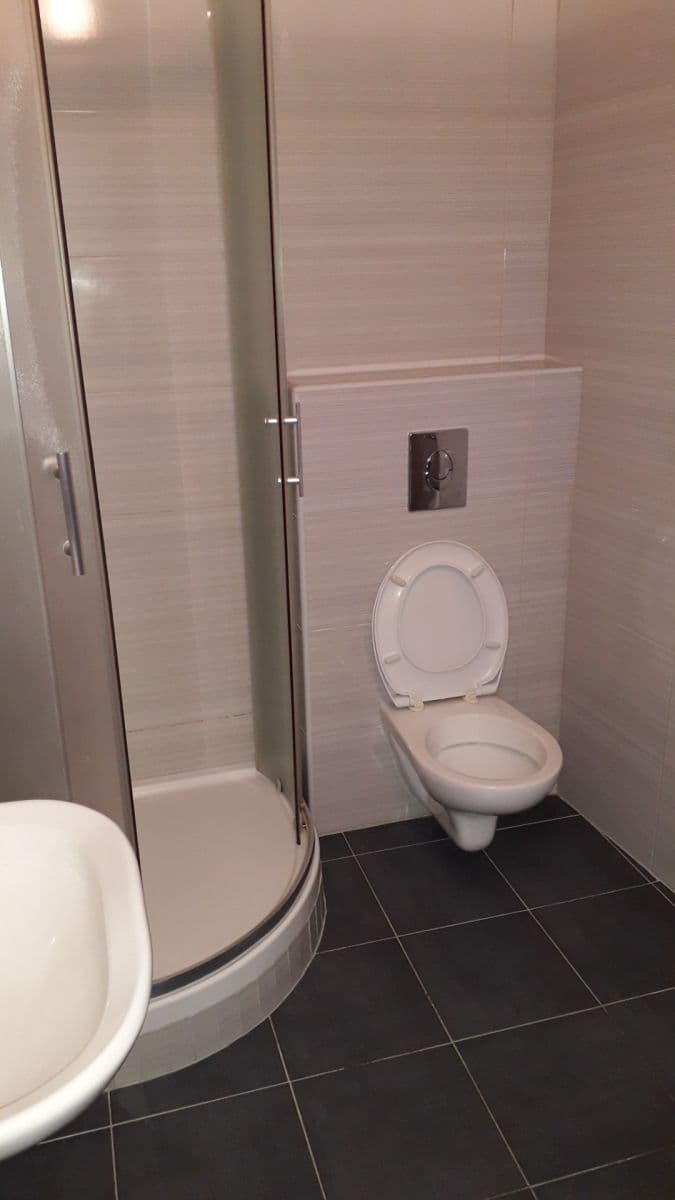 Pronájem bytu Garsoniéra 20 m², Husova tř., České Budějovice, Jihočeský kraj Pronájem bytu Garsoniéra 20 m², Husova tř., České Budějovice, Jihočeský kraj