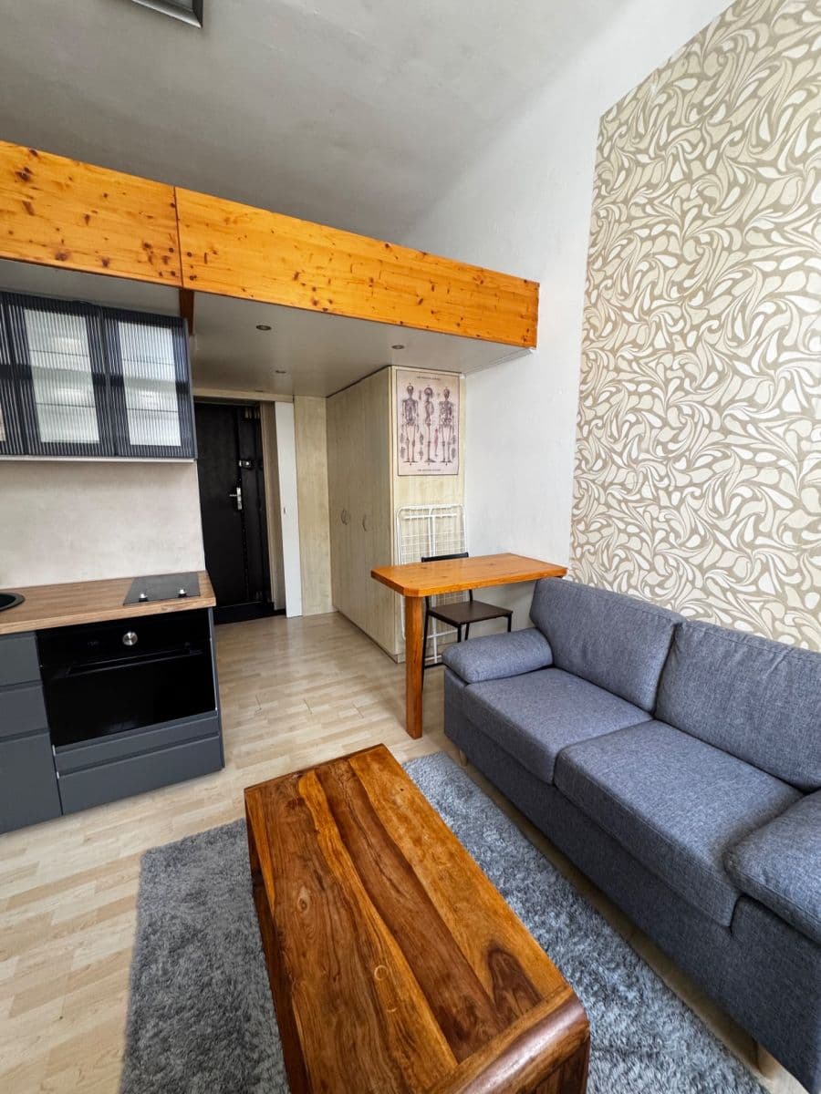 Pronájem bytu 1+kk 19 m², Na Žertvách, Praha, Praha Pronájem bytu 1+kk 19 m², Na Žertvách, Praha, Praha