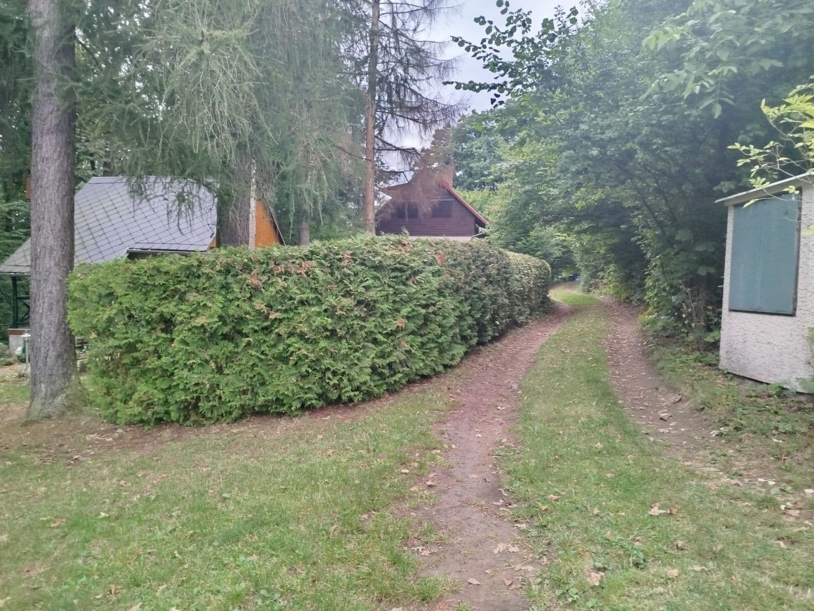 Prodej chaty, chalupy 31 m², pozemek 31 m², Křižanovice, Pardubický kraj Prodej chaty, chalupy 31 m², pozemek 31 m², Křižanovice, Pardubický kraj